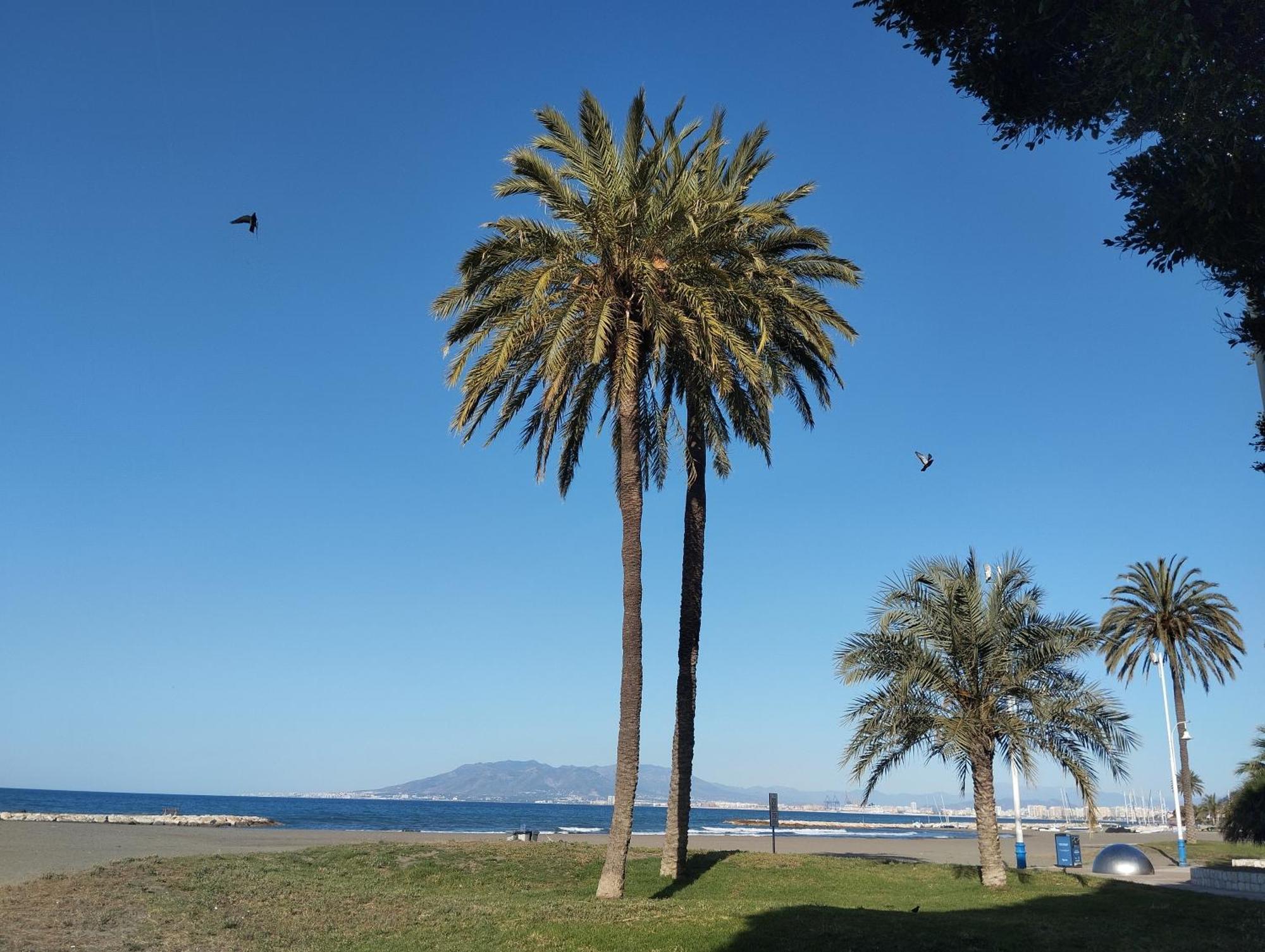 Apartamento Alhóndiga El Palo Málaga Exterior foto