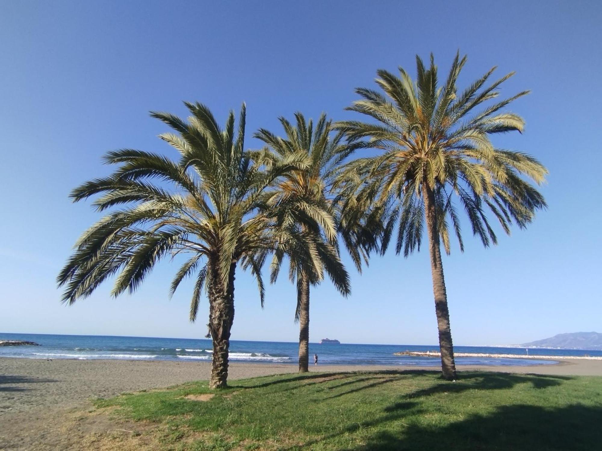 Apartamento Alhóndiga El Palo Málaga Exterior foto